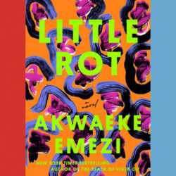 Critique de livre : « Little Rot », d'Akwaeke Emezi