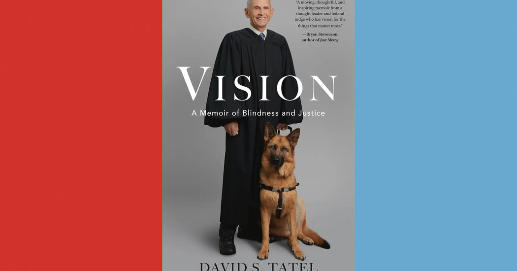 Critique de livre : « Vision », de David S. Tatel
